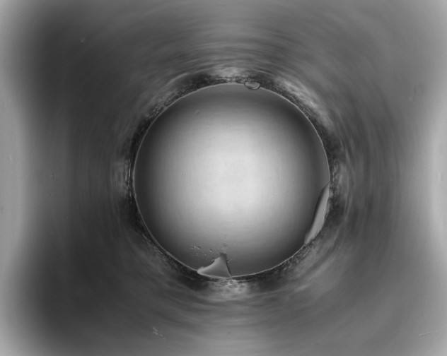 X0000093730421200710161120