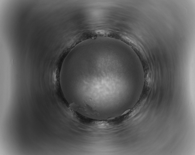 X0000093730424200710161120