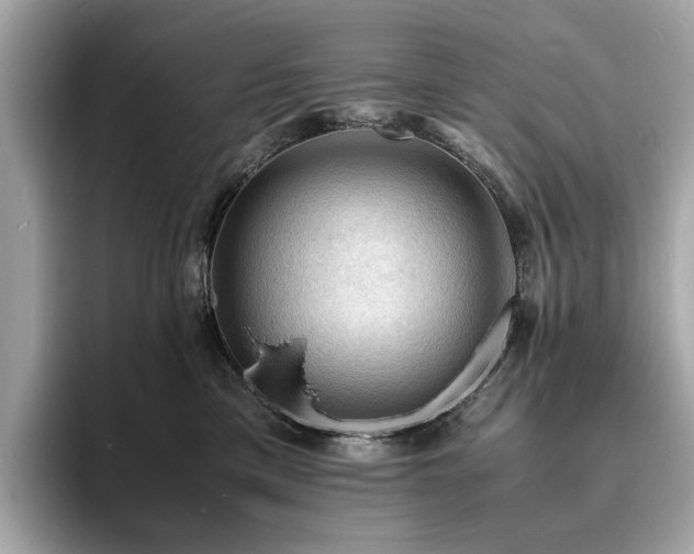 X0000093730425200710161120