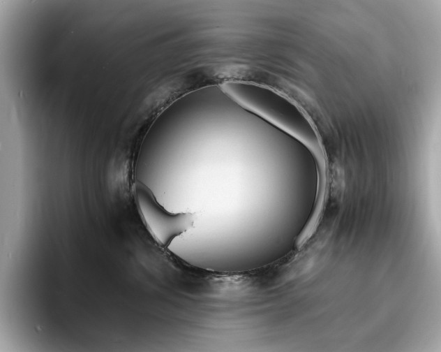 X0000093730428200710161120
