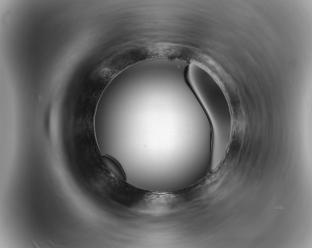 X0000093730429200710161120
