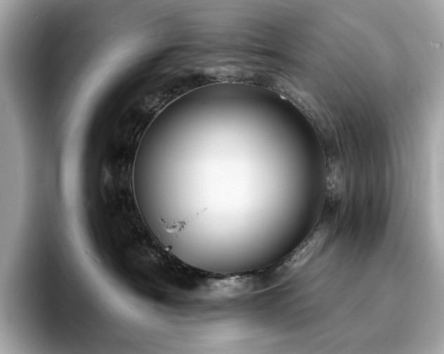 X0000093730430200710161120