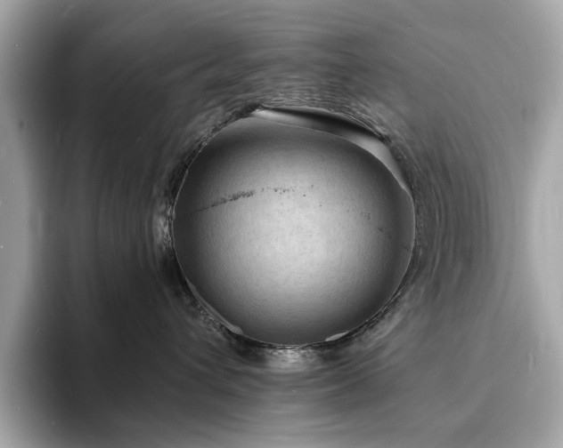 X0000093730432200710161120