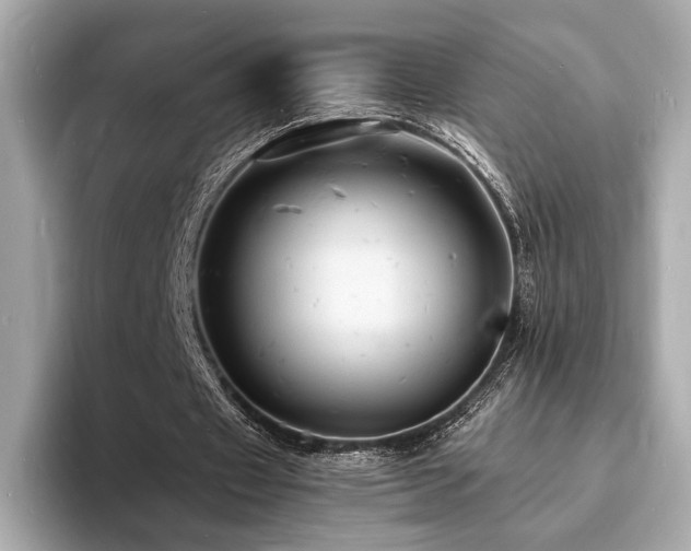 X0000093730433200710161119