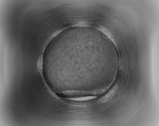 X0000093730437200710161119