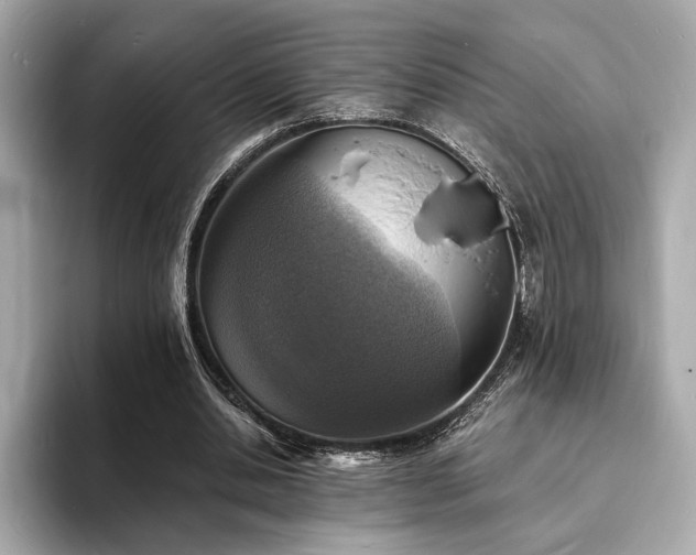 X0000093730438200710161120
