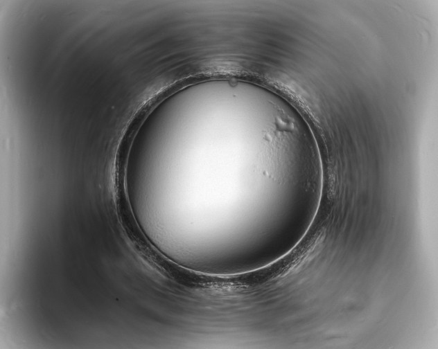 X0000093730439200710161120