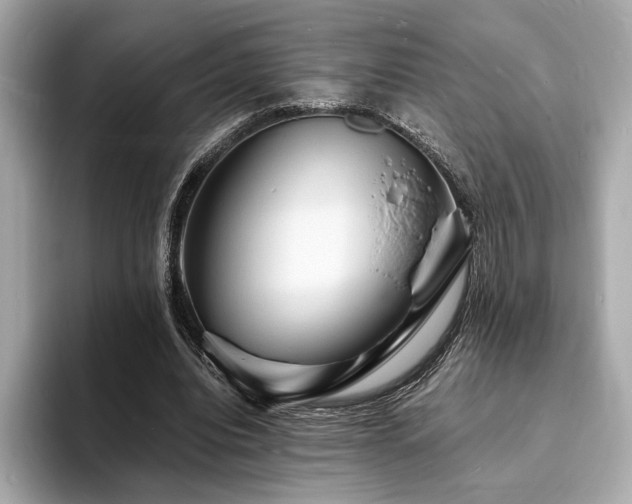 X0000093730440200710161120