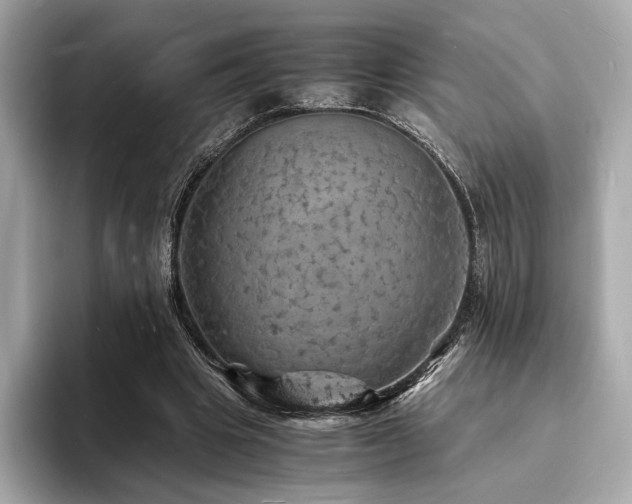 X0000093730441200710161120