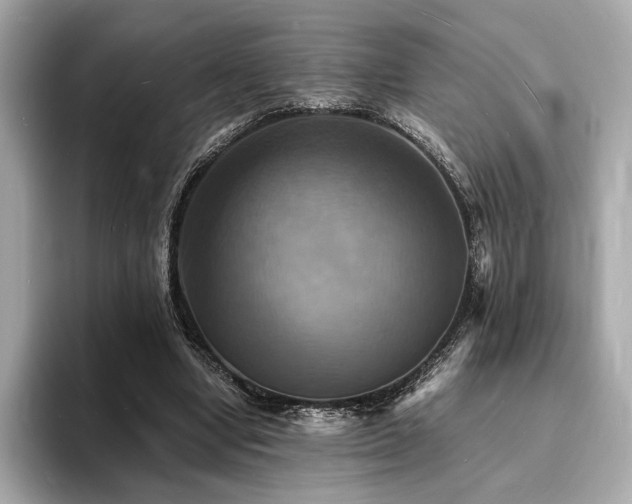 X0000093730442200710161120