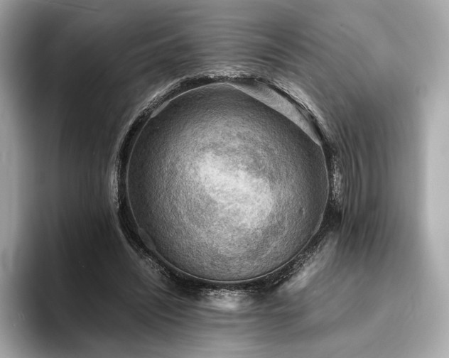 X0000093730444200710161120