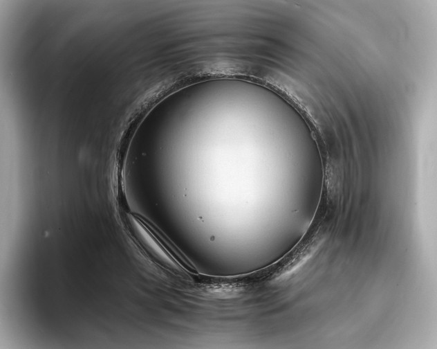X0000093730445200710161120