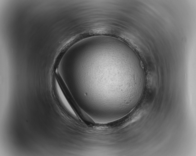 X0000093730446200710161120