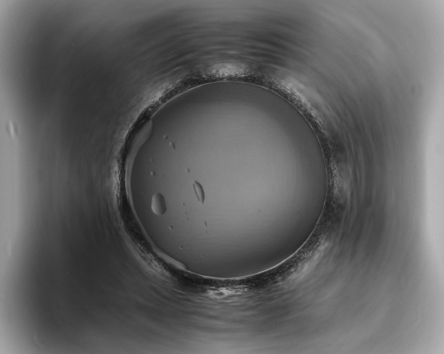 X0000093730447200710161120