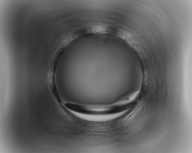 X0000093730449200710161120