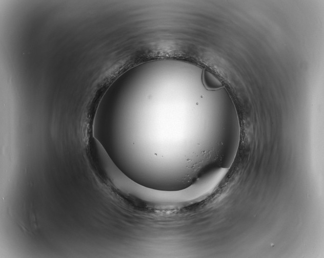 X0000093730450200710161120