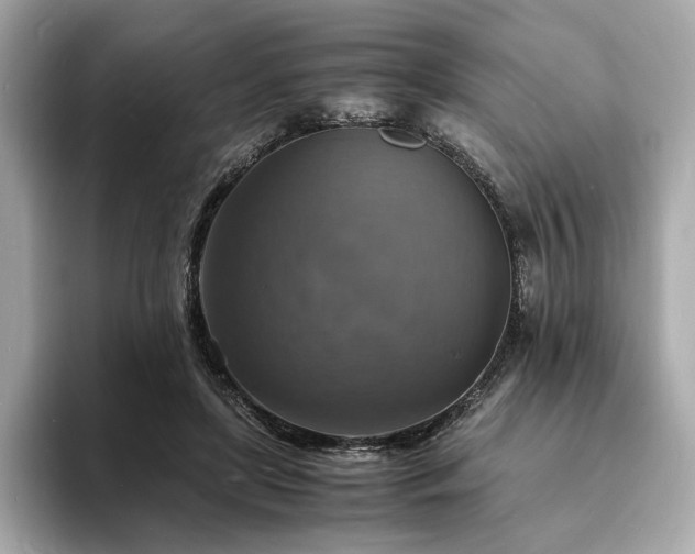 X0000093730451200710161120
