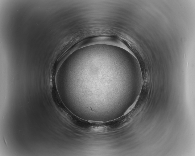 X0000093730452200710161120