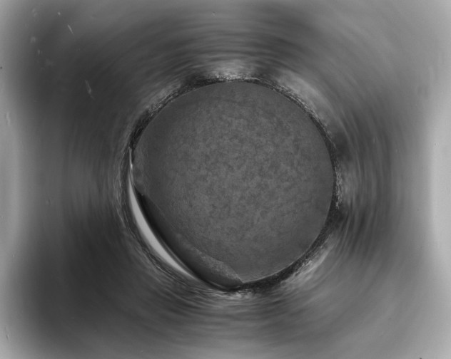 X0000093730453200710161120