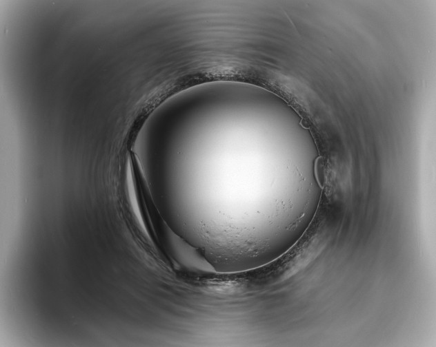 X0000093730454200710161120