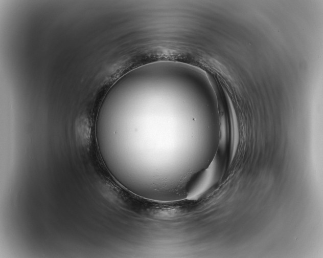 X0000093730456200710161120