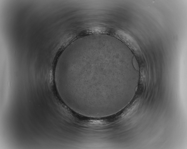X0000093730457200710161120