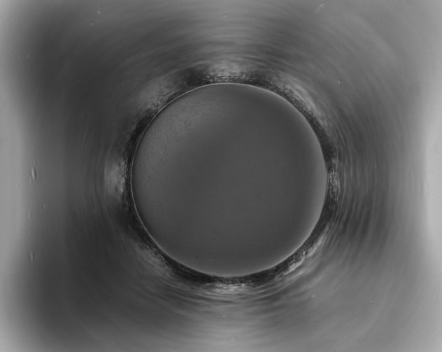 X0000093730458200710161120