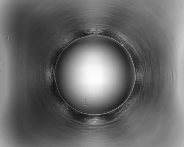 X0000093730460200710161120