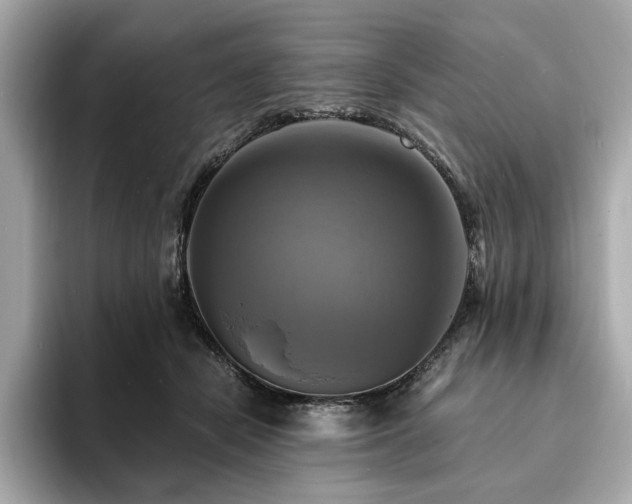 X0000093730462200710161120