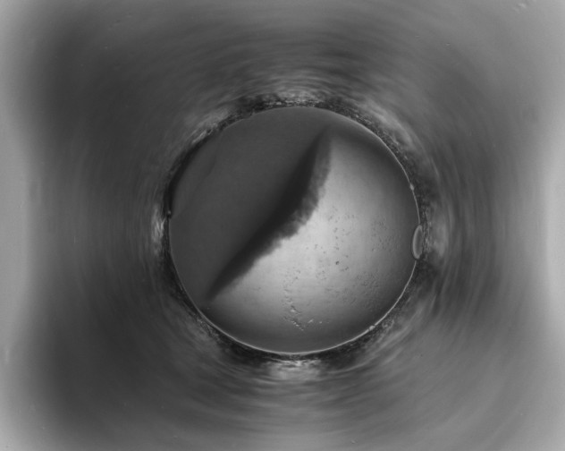X0000093730465200710161120