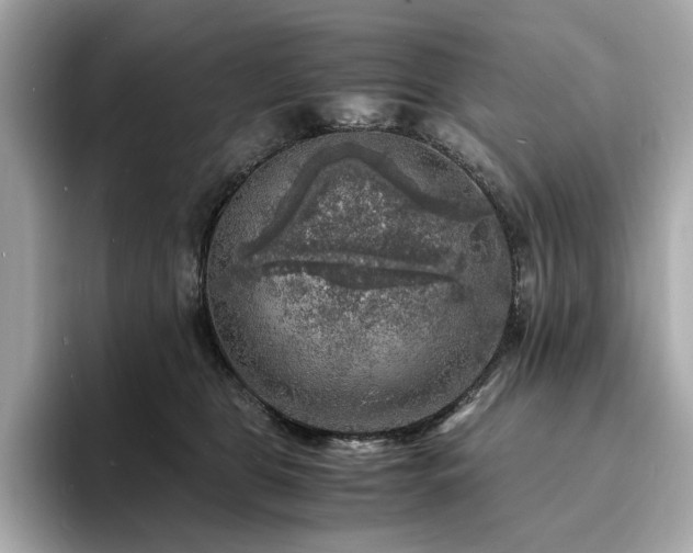 X0000093730469200710161120