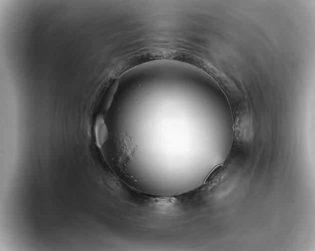X0000093730474200710161120
