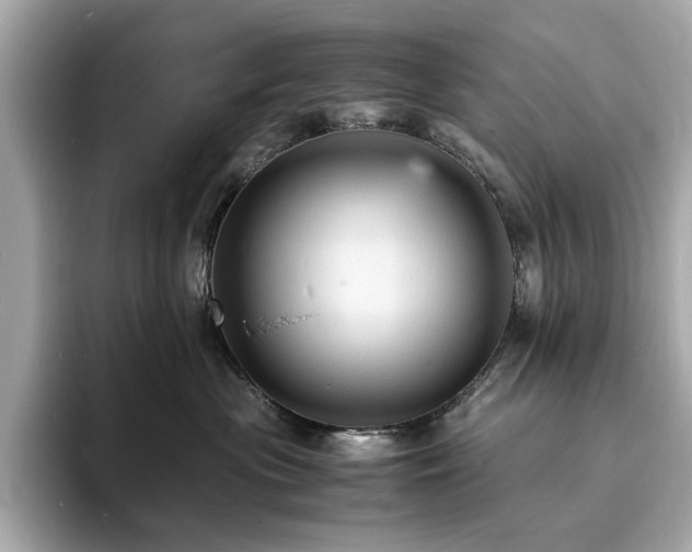 X0000093730477200710161120