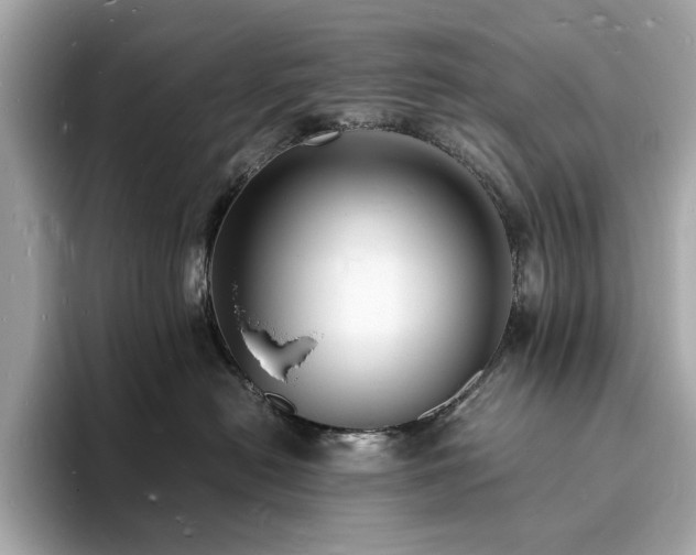 X0000093730478200710161120