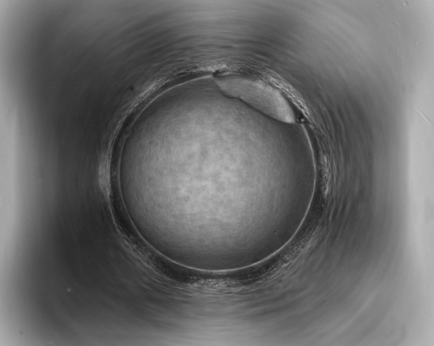 X0000093730482200710161119