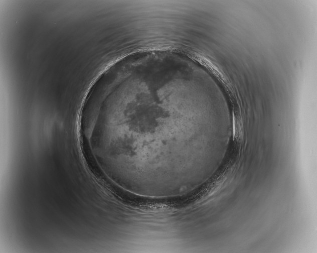 X0000093730483200710161119
