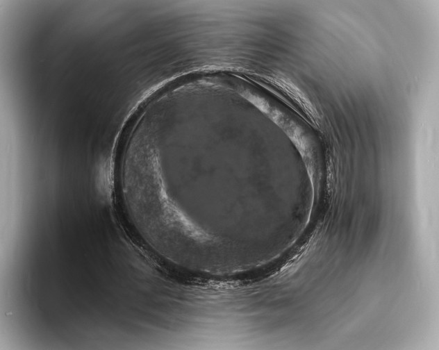 X0000093730484200710161119