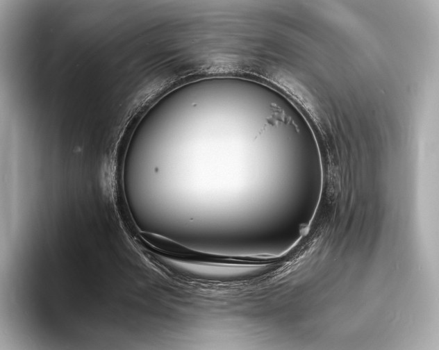 X0000093730485200710161119