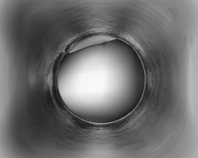 X0000093730486200710161119