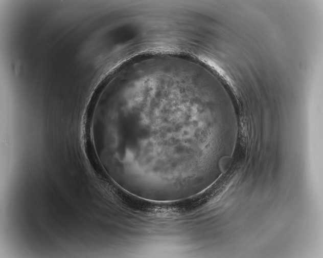 X0000093730487200710161119