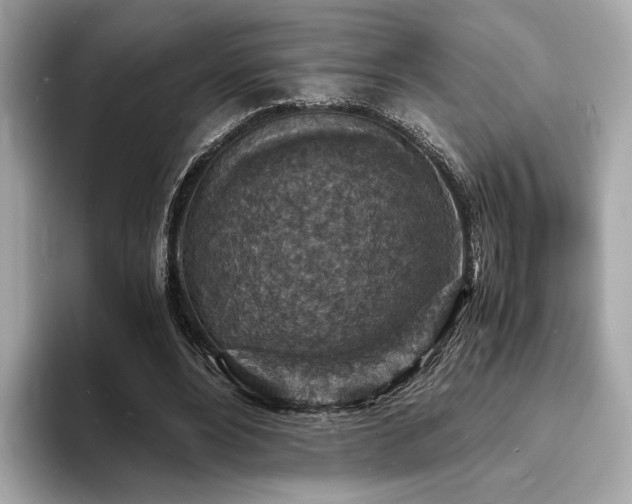 X0000093730488200710161119