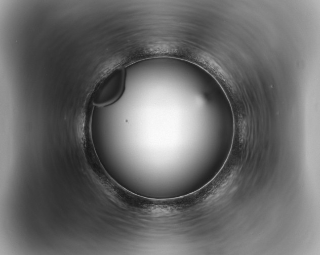 X0000093730490200710161119