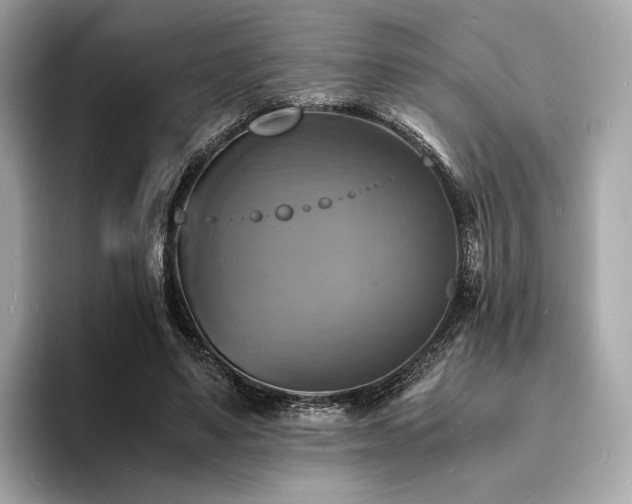 X0000093730491200710161119