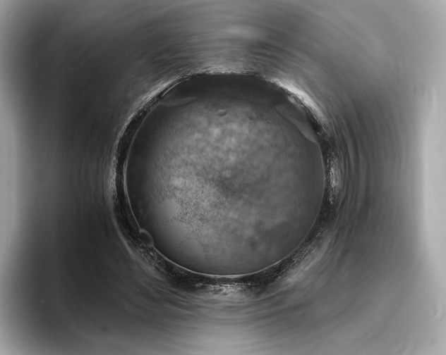 X0000093730492200710161119