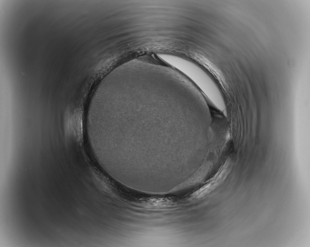 X0000093730493200710161119