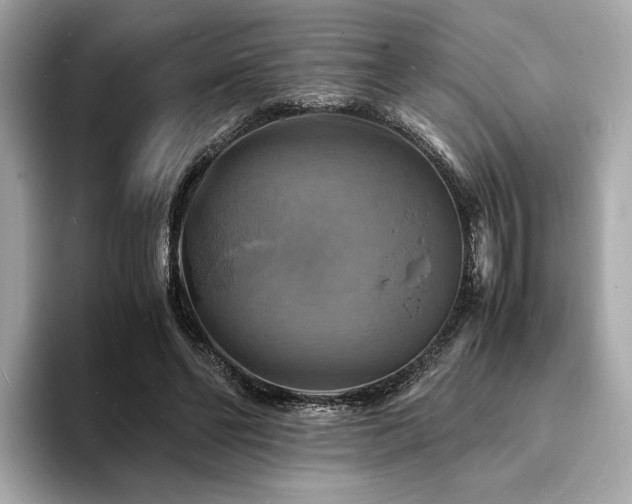X0000093730494200710161119