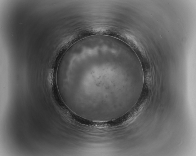X0000093730495200710161119