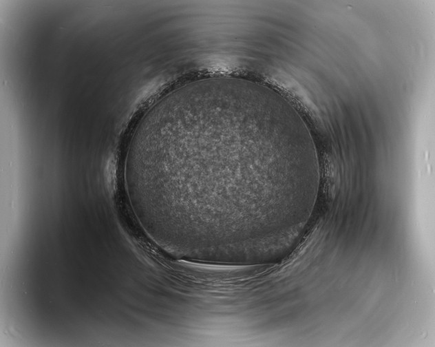 X0000093730496200710161119