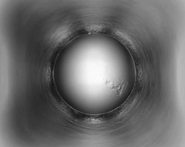 X0000093730498200710161119