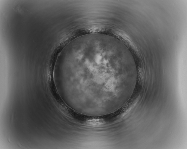 X0000093730499200710161119